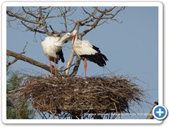 2019-10-27-reserve-Tech (121)