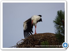 2019-10-27-reserve-Tech (124)