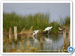 2019-10-27-reserve-Tech (129)