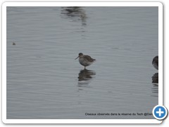 2019-10-27-reserve-Tech (139)