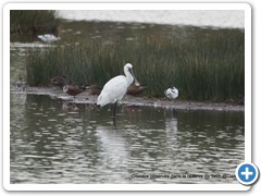 2019-10-27-reserve-Tech (149)