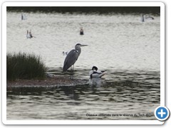 2019-10-27-reserve-Tech (153)