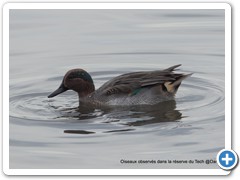 2019-10-27-reserve-Tech (156)