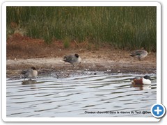 2019-10-27-reserve-Tech (174)