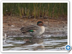 2019-10-27-reserve-Tech (188)