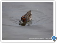 2019-10-27-reserve-Tech (192)