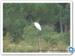 2019-10-27-reserve-Tech (205)