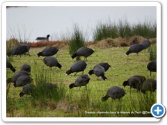 2019-10-27-reserve-Tech (209)