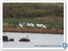 2019-10-27-reserve-Tech (210)