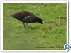 2019-10-27-reserve-Tech (216)