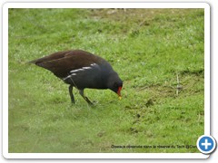 2019-10-27-reserve-Tech (217)