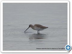 2019-10-27-reserve-Tech (223)