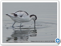 2019-10-27-reserve-Tech (226)