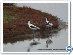 2019-10-27-reserve-Tech (228)