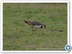 2019-10-27-reserve-Tech (234)