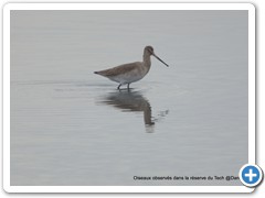 2019-10-27-reserve-Tech (237)