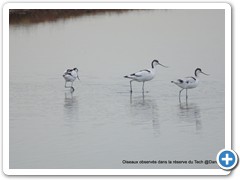 2019-10-27-reserve-Tech (243)