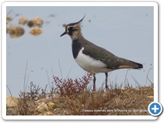 2019-10-27-reserve-Tech (259)