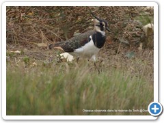 2019-10-27-reserve-Tech (264)