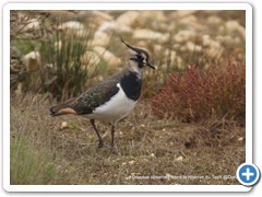 2019-10-27-reserve-Tech (265)