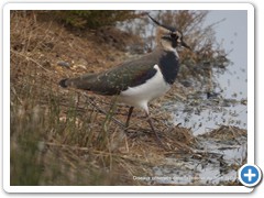 2019-10-27-reserve-Tech (269)