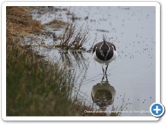 2019-10-27-reserve-Tech (270)