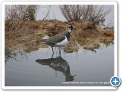 2019-10-27-reserve-Tech (277)