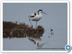 2019-10-27-reserve-Tech (287)