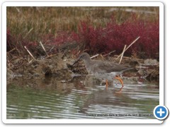 2019-10-27-reserve-Tech (289)