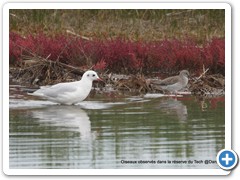 2019-10-27-reserve-Tech (294)