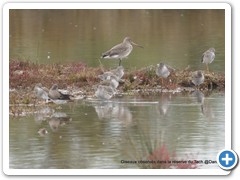 2019-10-27-reserve-Tech (311)