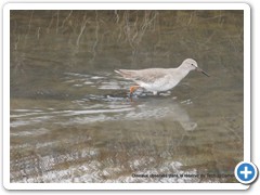 2019-10-27-reserve-Tech (317)