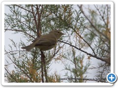 2019-10-27-reserve-Tech (325)