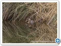 2019-10-27-reserve-Tech (328)