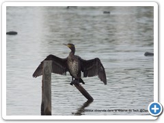 2019-10-27-reserve-Tech (331)