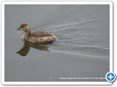 2019-10-27-reserve-Tech (340)