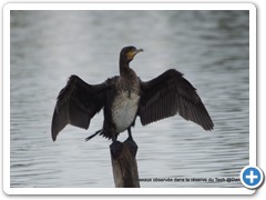 2019-10-27-reserve-Tech (345)