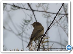 2019-10-27-reserve-Tech (348)