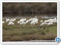 2019-10-27-reserve-Tech (350)