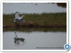 2019-10-27-reserve-Tech (354)