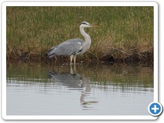 2019-10-27-reserve-Tech (356)