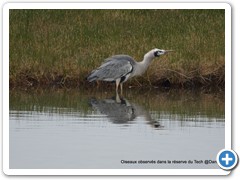 2019-10-27-reserve-Tech (357)