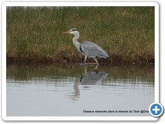 2019-10-27-reserve-Tech (359)