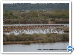 2019-10-27-reserve-Tech (362)