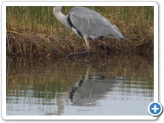 2019-10-27-reserve-Tech (365)