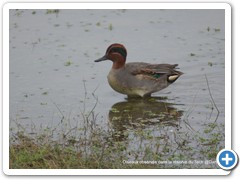 2019-10-27-reserve-Tech (368)