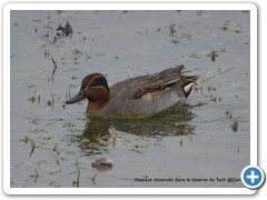 2019-10-27-reserve-Tech (374)