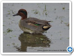 2019-10-27-reserve-Tech (375)