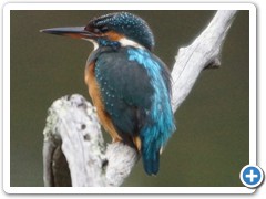 2019-10-27-reserve-Tech (395)