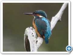 2019-10-27-reserve-Tech (396)